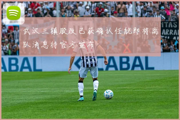 武汉三镇股改已获确认任航即将离队消息待官方宣布