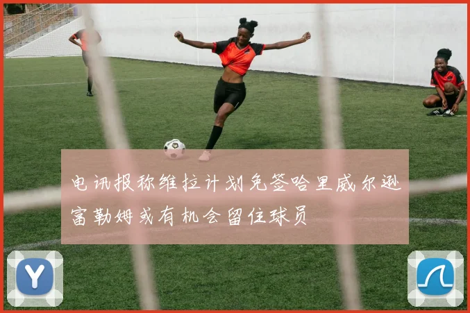 电讯报称维拉计划免签哈里威尔逊富勒姆或有机会留住球员