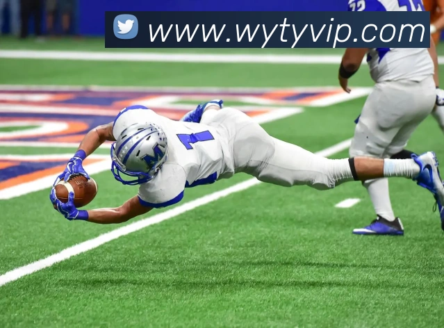 网易体育平台生态图